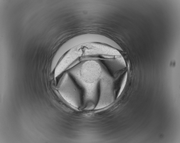 X0000110880092200907161512