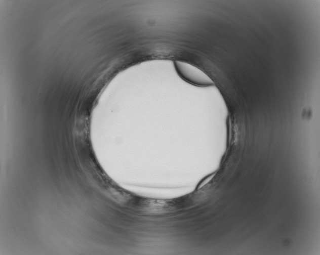 X0000110880093200907161512