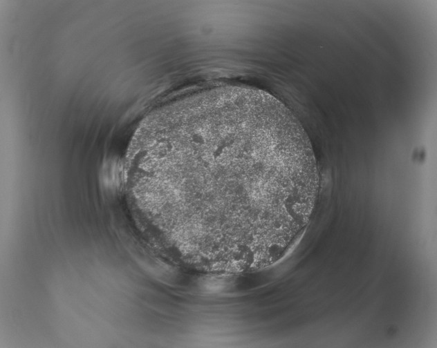 X0000110880094200907161512