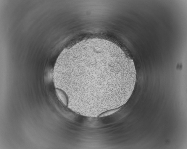 X0000110880095200907161512