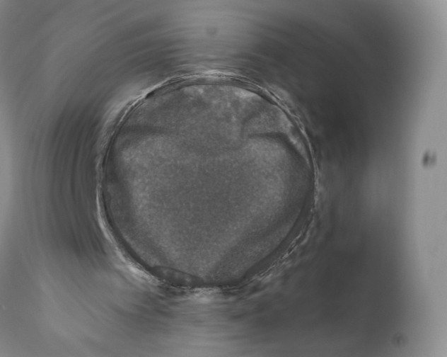 X0000110880097200907161511