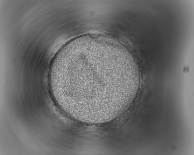 X0000110880098200907161511