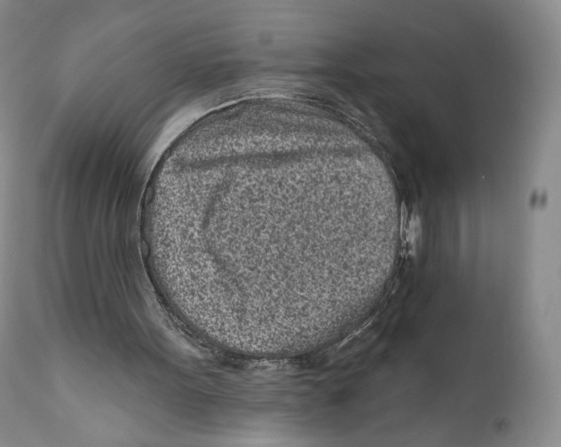 X0000110880099200907161511