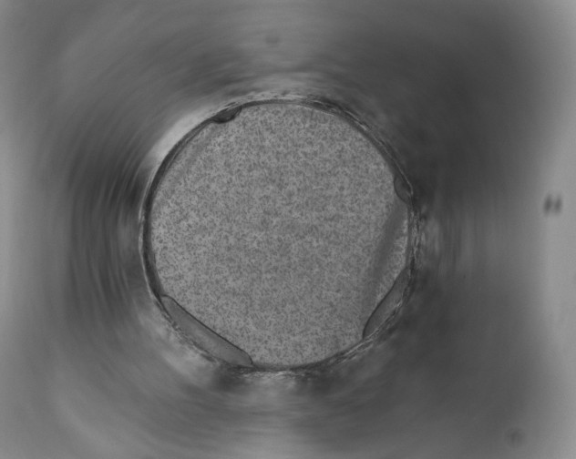 X0000110880100200907161511