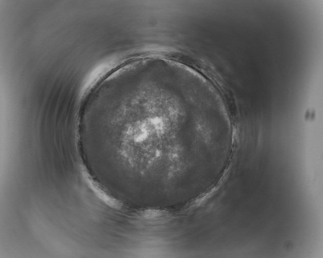 X0000110880101200907161511