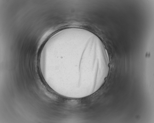 X0000110880102200907161511