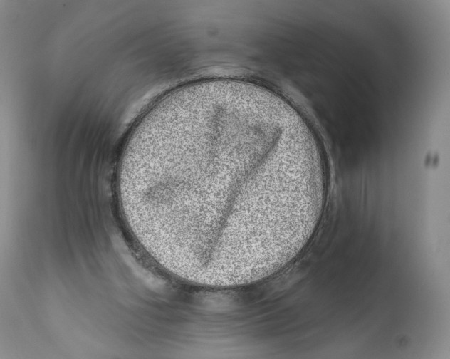 X0000110880106200907161511