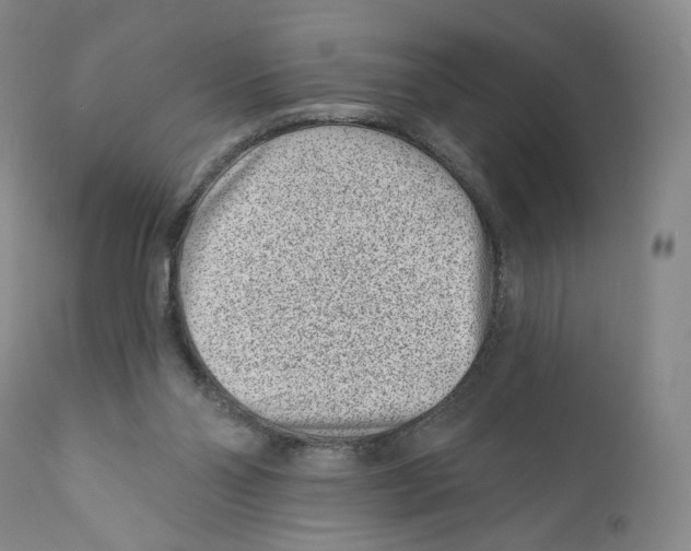 X0000110880110200907161511