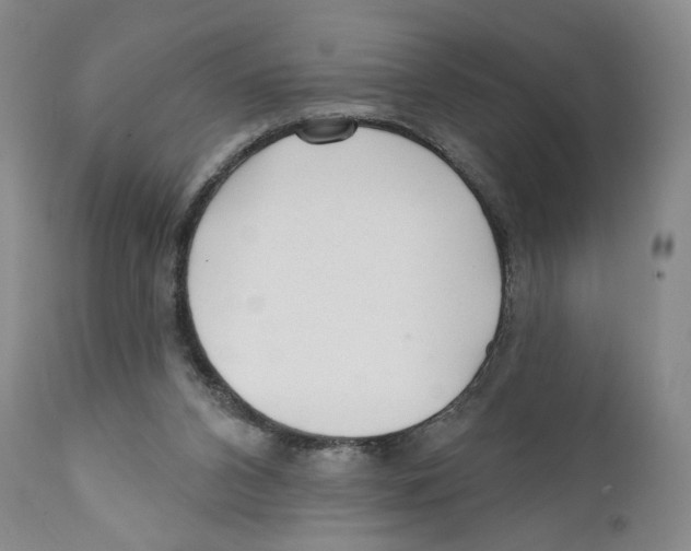 X0000110880112200907161511