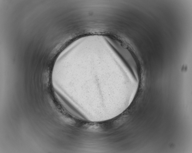 X0000110880113200907161511