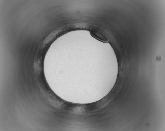 X0000110880116200907161511