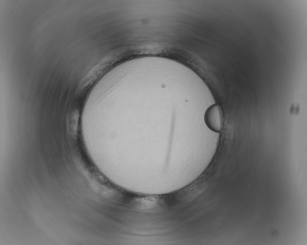 X0000110880118200907161511