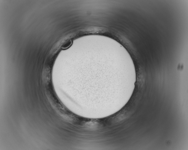 X0000110880119200907161511