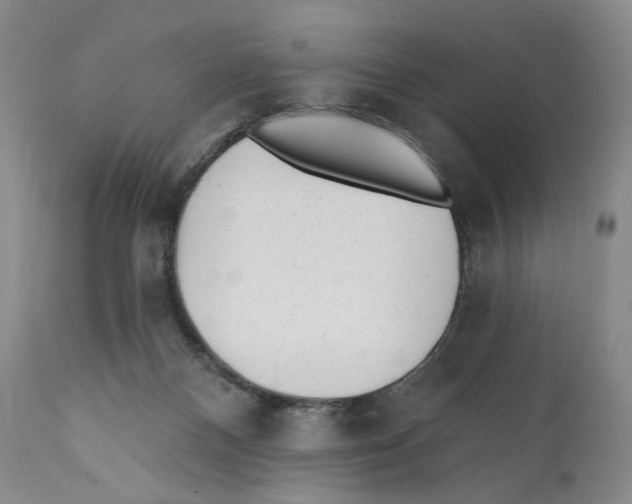 X0000110880120200907161511