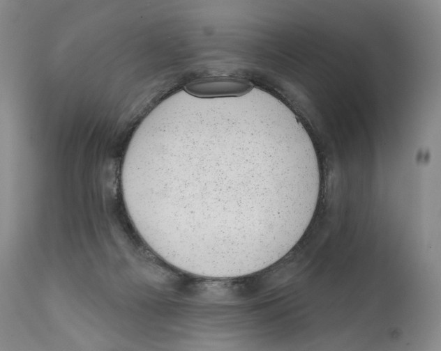 X0000110880121200907161511