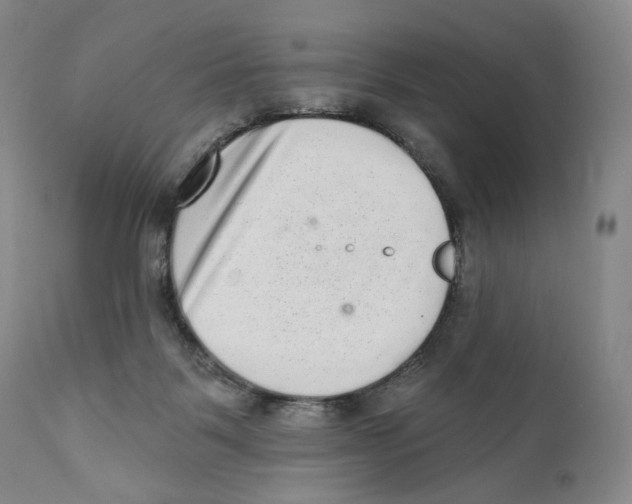 X0000110880123200907161511