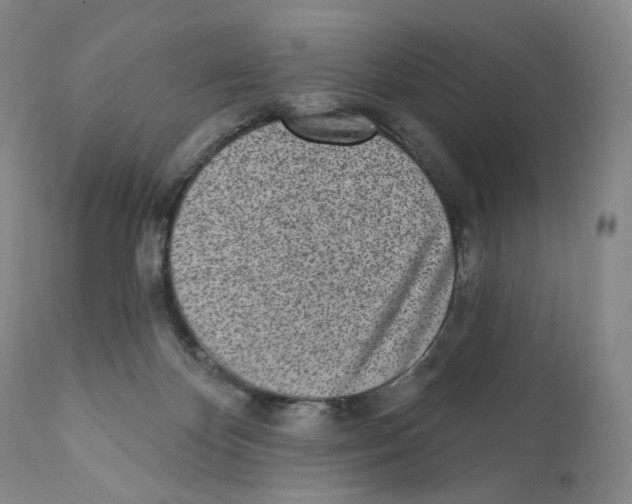 X0000110880124200907161511