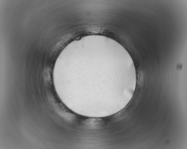 X0000110880128200907161511