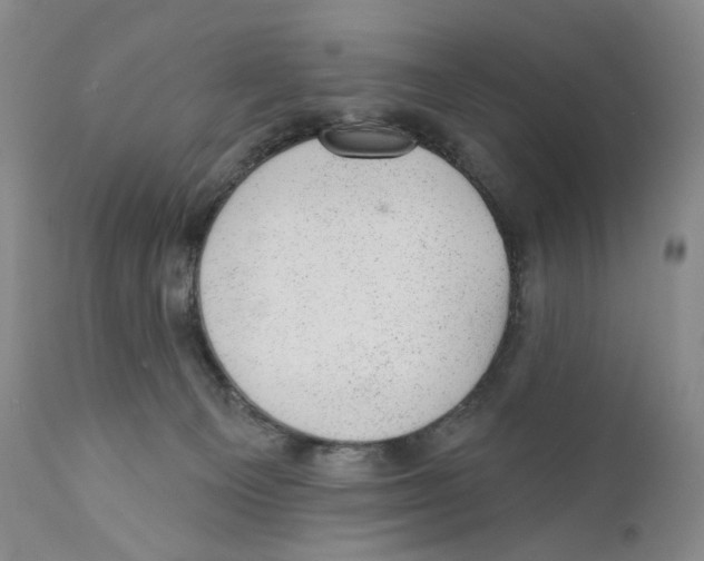 X0000110880129200907161511