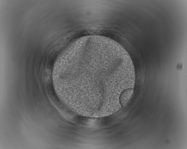 X0000110880130200907161511