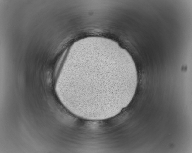 X0000110880131200907161511