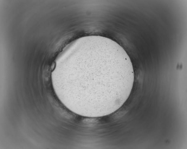 X0000110880133200907161511