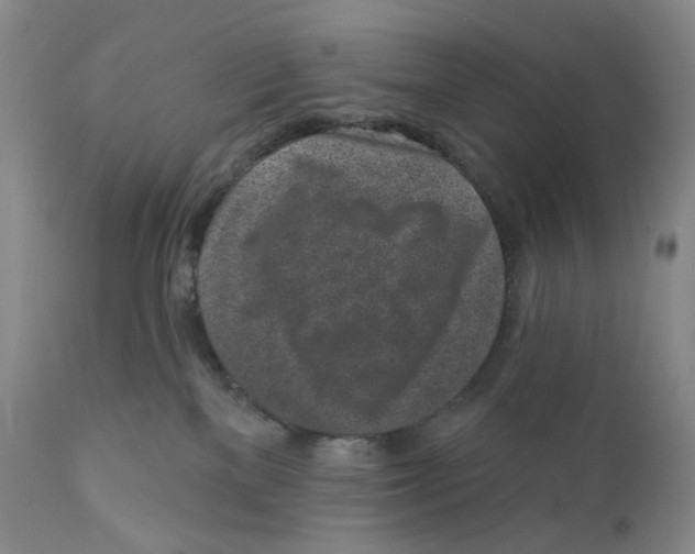 X0000110880137200907161511