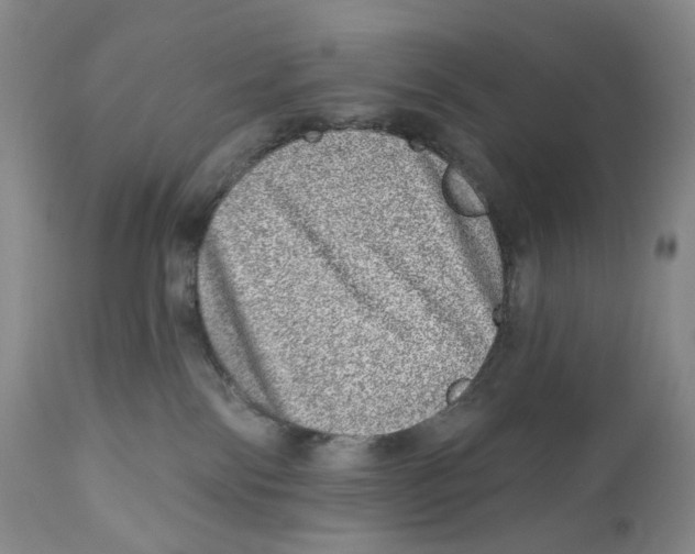 X0000110880138200907161511