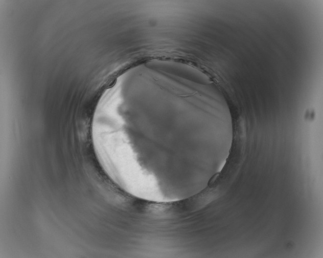 X0000110880139200907161511