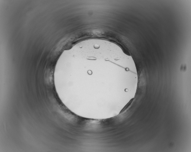 X0000110880140200907161511