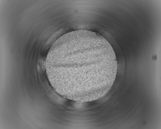 X0000110880142200907161511