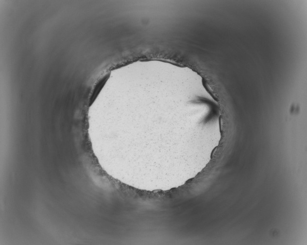 X0000110880144200907161511