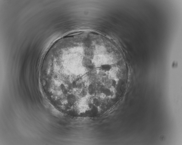 X0000110880145200907161510