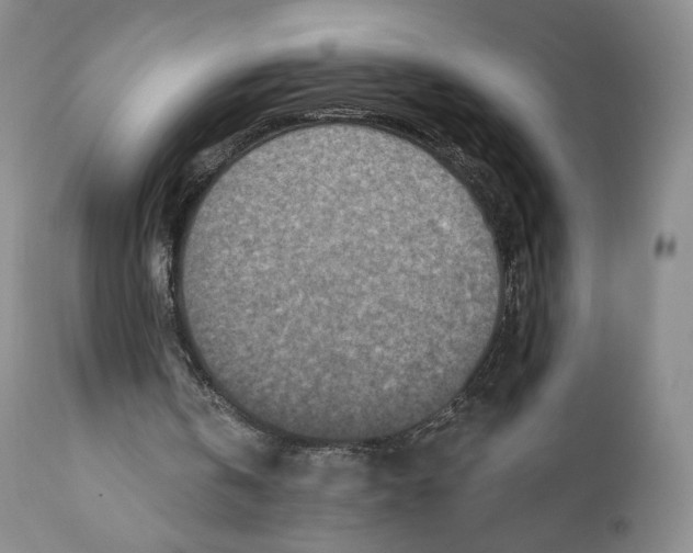 X0000110880146200907161510