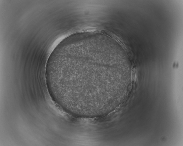 X0000110880147200907161510