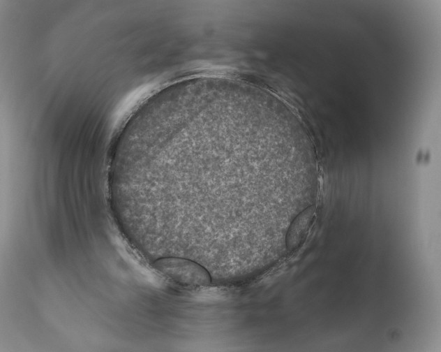 X0000110880149200907161510