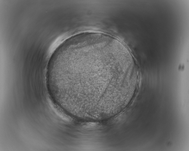 X0000110880151200907161510