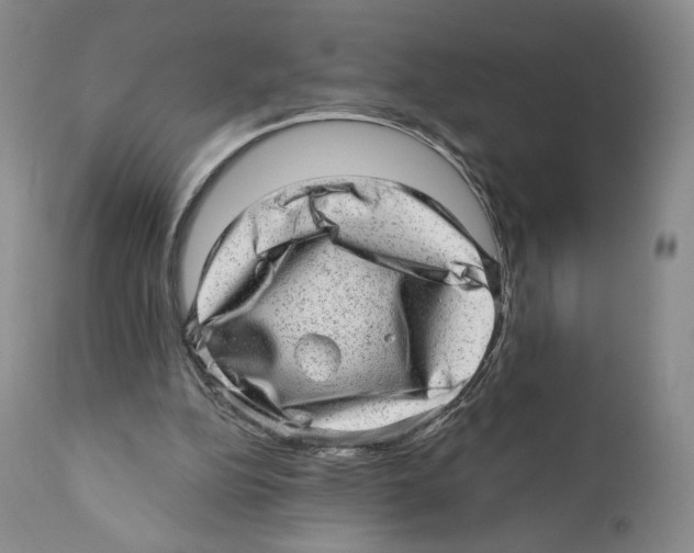 X0000110880152200907161510