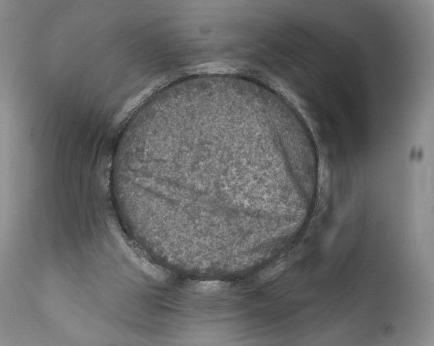 X0000110880153200907161510