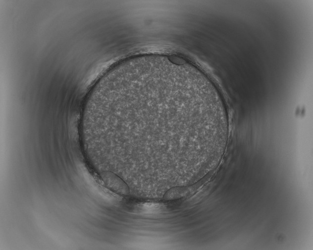 X0000110880154200907161510