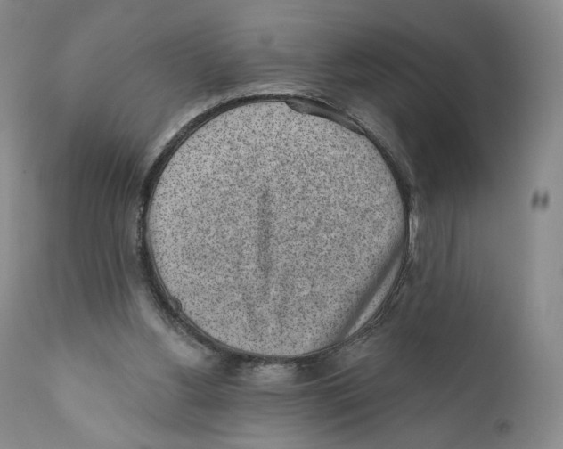 X0000110880156200907161510