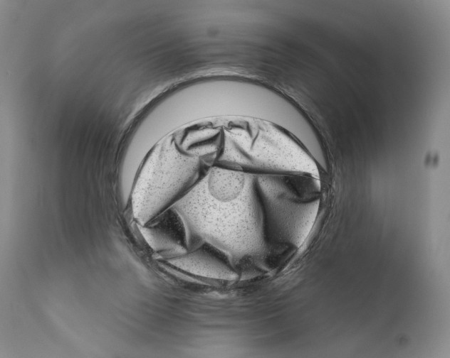 X0000110880160200907161510