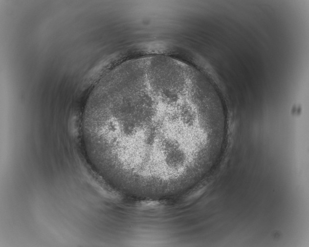 X0000110880161200907161510