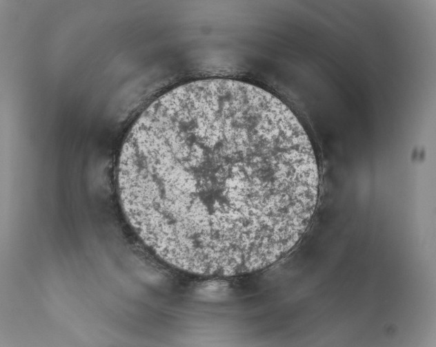 X0000110880162200907161510