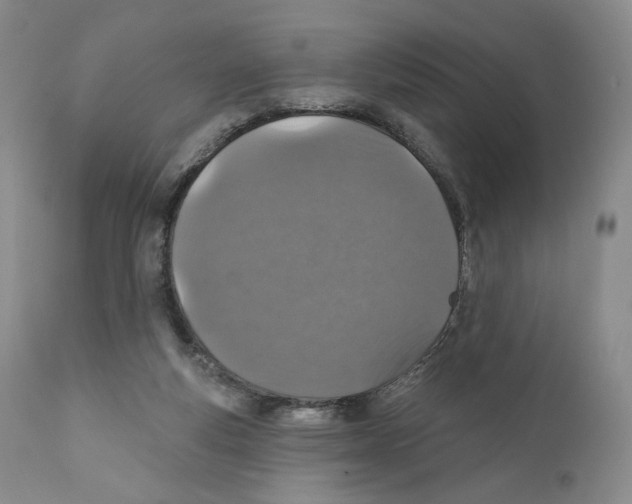 X0000110880163200907161510