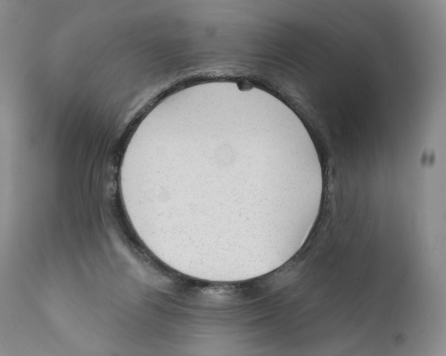 X0000110880164200907161510