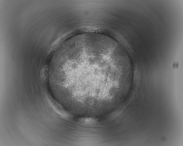 X0000110880165200907161510