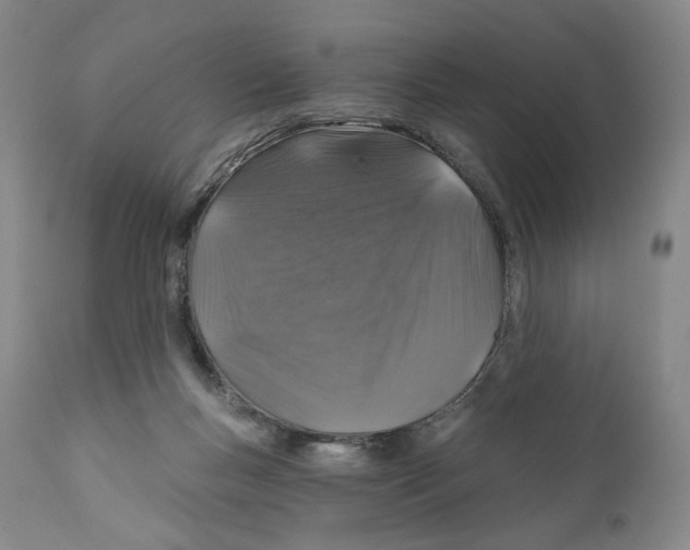 X0000110880167200907161510