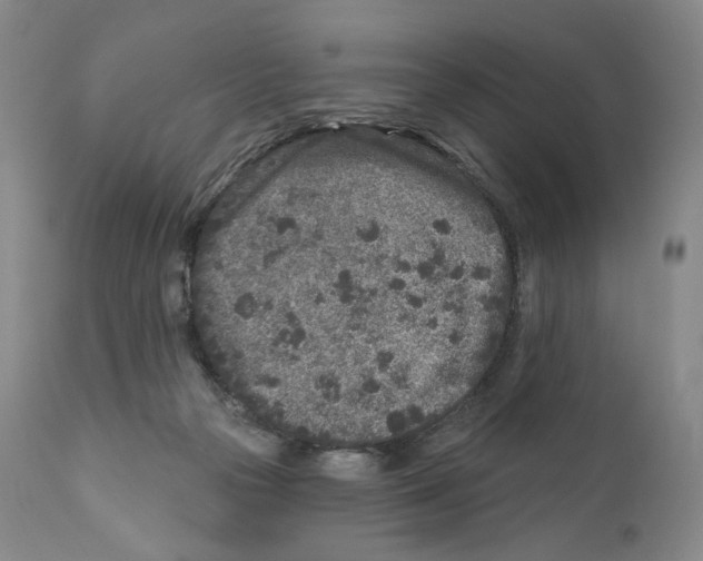 X0000110880169200907161510