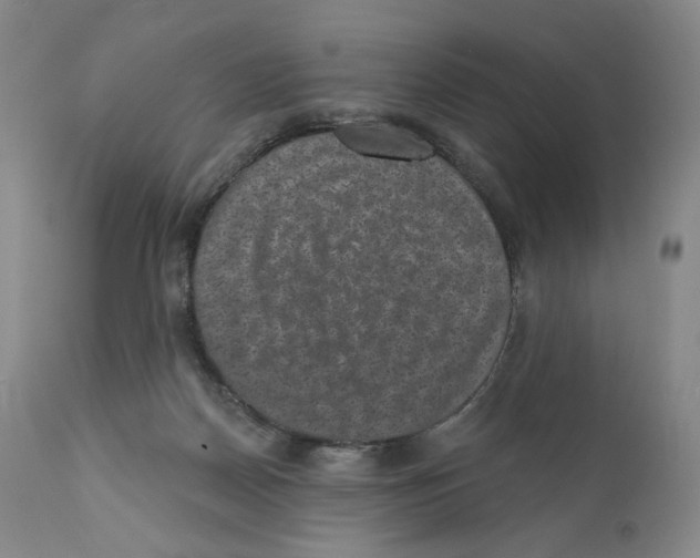 X0000110880170200907161510